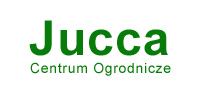 klient agencja interaktywna ic.online
